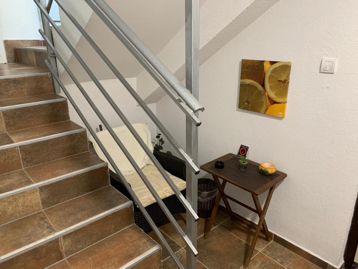 A6 Apartment Novi Sad Extérieur photo