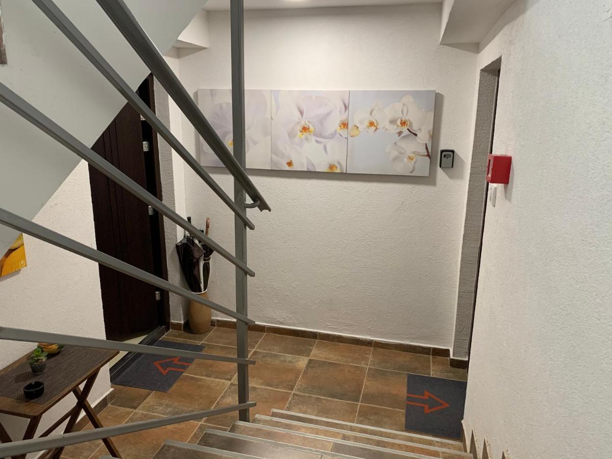 A6 Apartment Novi Sad Extérieur photo