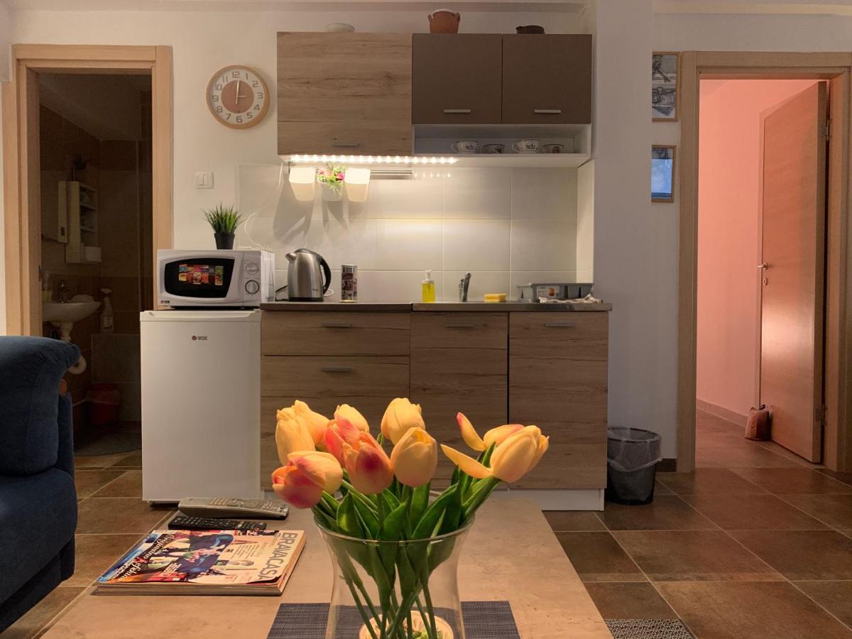 A6 Apartment Novi Sad Extérieur photo